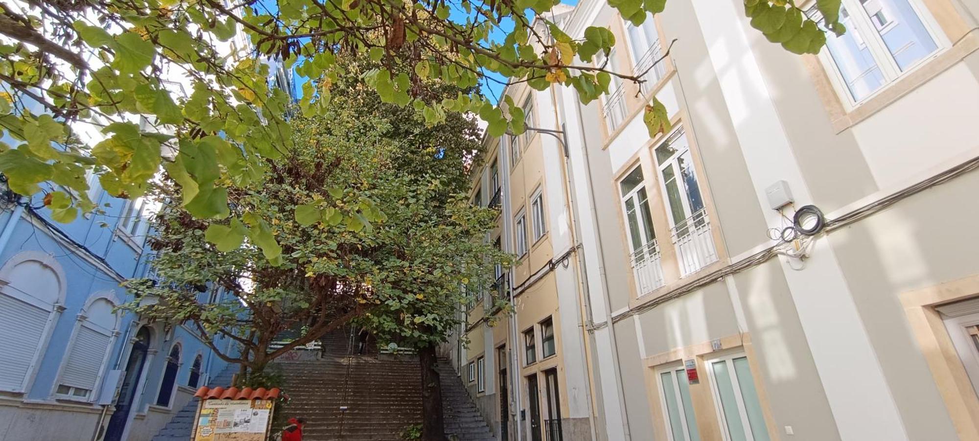 Apartamento Anjos Lisboa